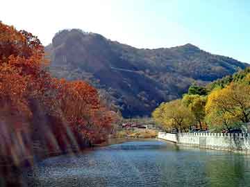 新澳天天开奖资料大全旅游团，雅姿韵